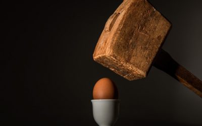 Integritätsinteresse